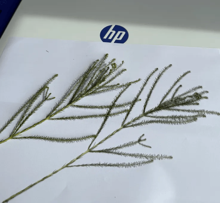 帶了臺打印機出國<strong></p>
<p>打印機
</strong>，好方便啊??！:打印機
